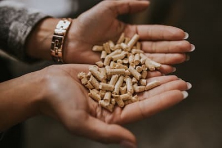 closeup-shot-of-hands-with-pig-pellet-foods-on-a-b-2025-02-09-01-06-32-utc.jpg